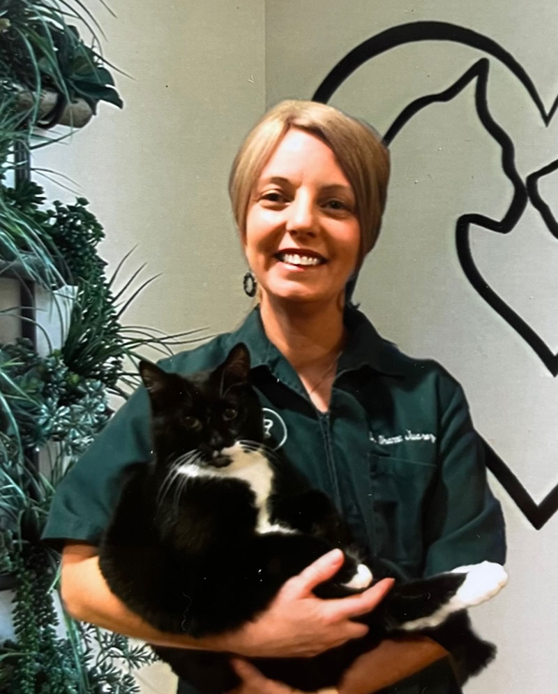 Veterinarian in Rialto Vets Near Me Rialto Cat Hospital