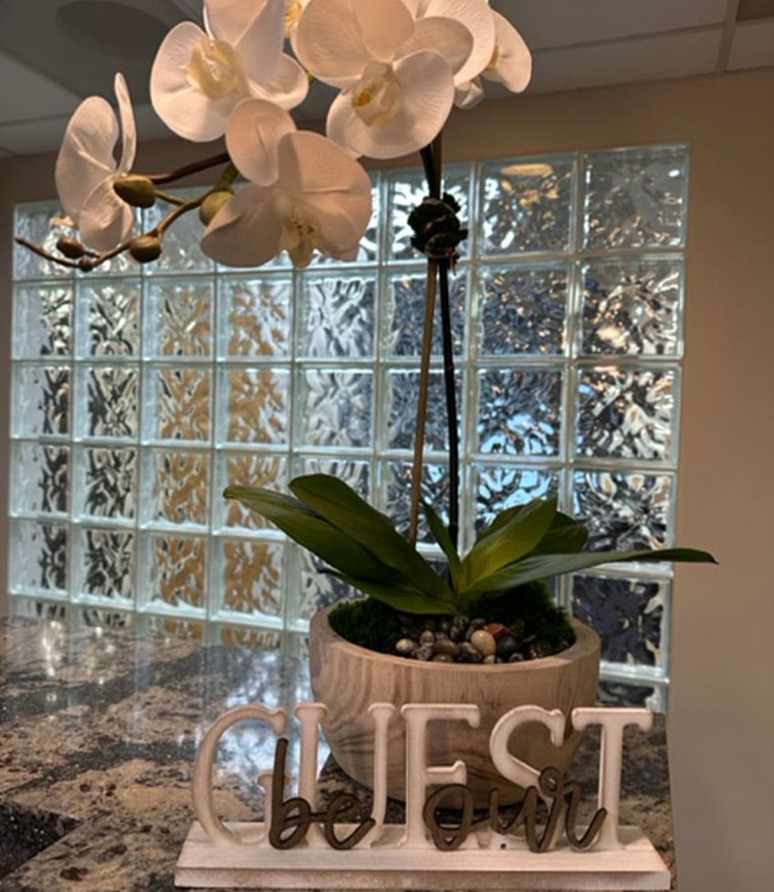 A white orchid in a pot sits on a marble countertop next to a decorative sign that reads "Guest be our." Frosted glass blocks form the background wall, adding charm to this serene spot—perfect for any cat-loving veterinarian.