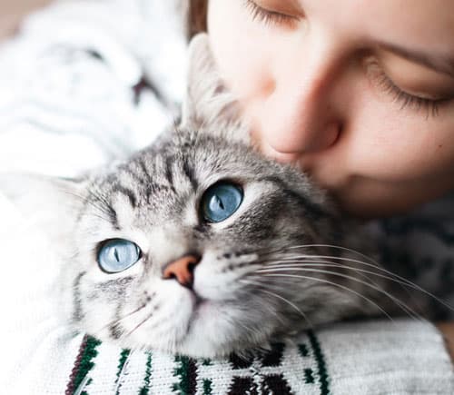 A person with closed eyes gently kisses the head of a gray tabby cat with striking blue eyes, hugging it closely. The cat gazes forward, calm and content—showing the trust often seen between a caring vet and their beloved cat patient.
